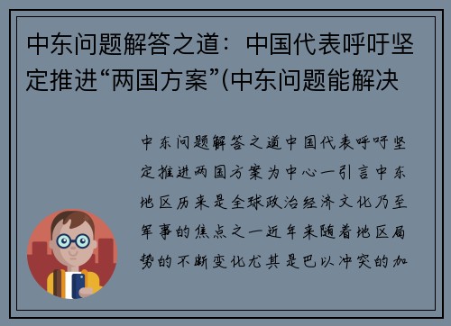 中东问题解答之道：中国代表呼吁坚定推进“两国方案”(中东问题能解决吗)