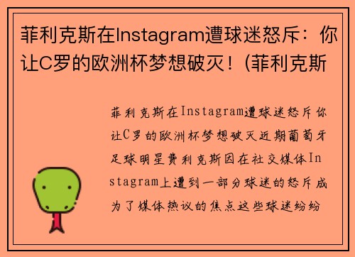 菲利克斯在Instagram遭球迷怒斥：你让C罗的欧洲杯梦想破灭！(菲利克斯转会)
